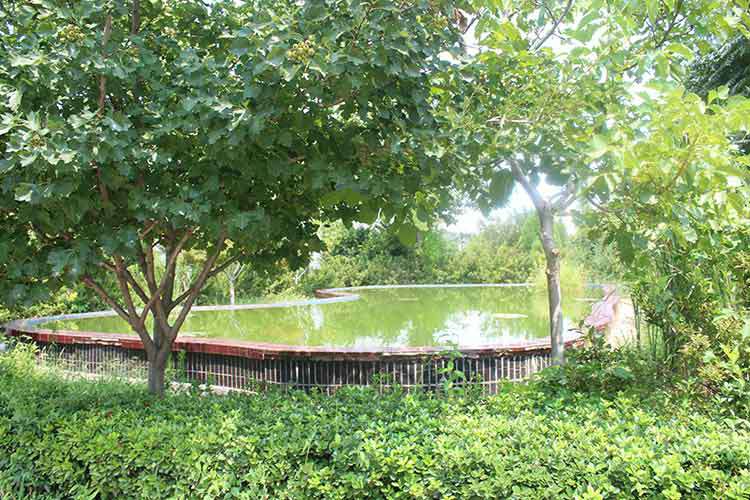 吉林星宇移动设备维护有限公司机械厂区环境优美